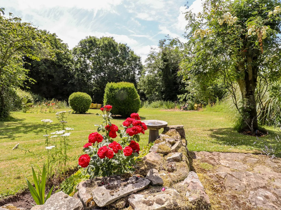 The Garden